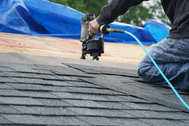 Best Green or Eco-Friendly Roofing Solutions  in Daleville, VA